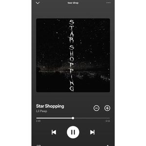 Meet your Posher, Bentley